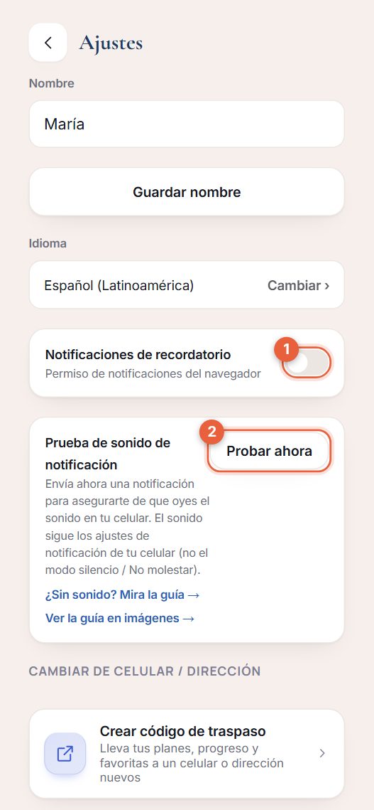 Pantalla de Ajustes con el interruptor de Notificaciones de recordatorio